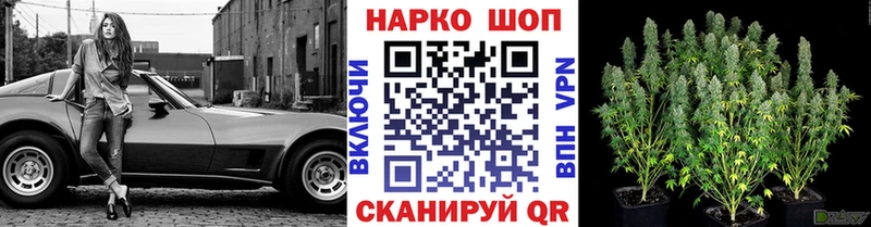 Виды наркотиков купить Ревда АМФЕТАМИН  Мефедрон  Каннабис  Кокаин 