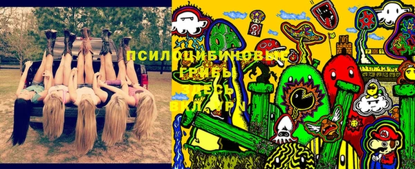 ПСИЛОЦИБИНОВЫЕ ГРИБЫ Балахна