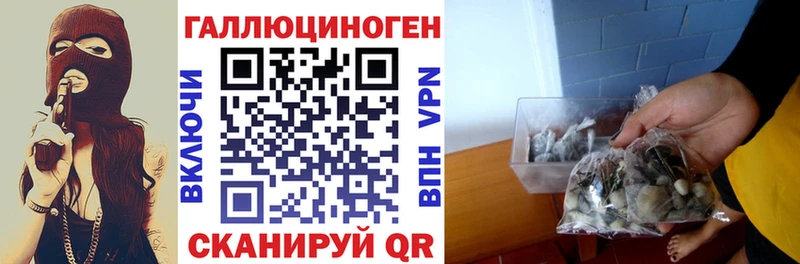 Галлюциногенные грибы мицелий что такое Ревда